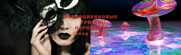 прущие грибы Балабаново