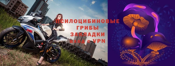 бошки Белокуриха