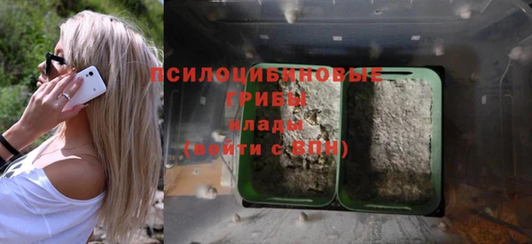 бошки Белокуриха