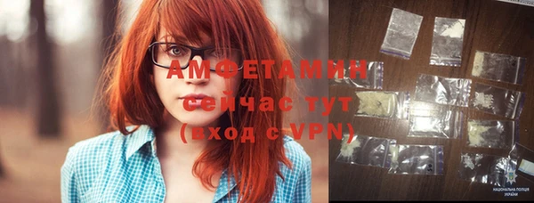 прущие грибы Балабаново