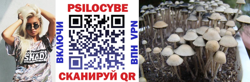 Псилоцибиновые грибы Psilocybine cubensis  Белинский 